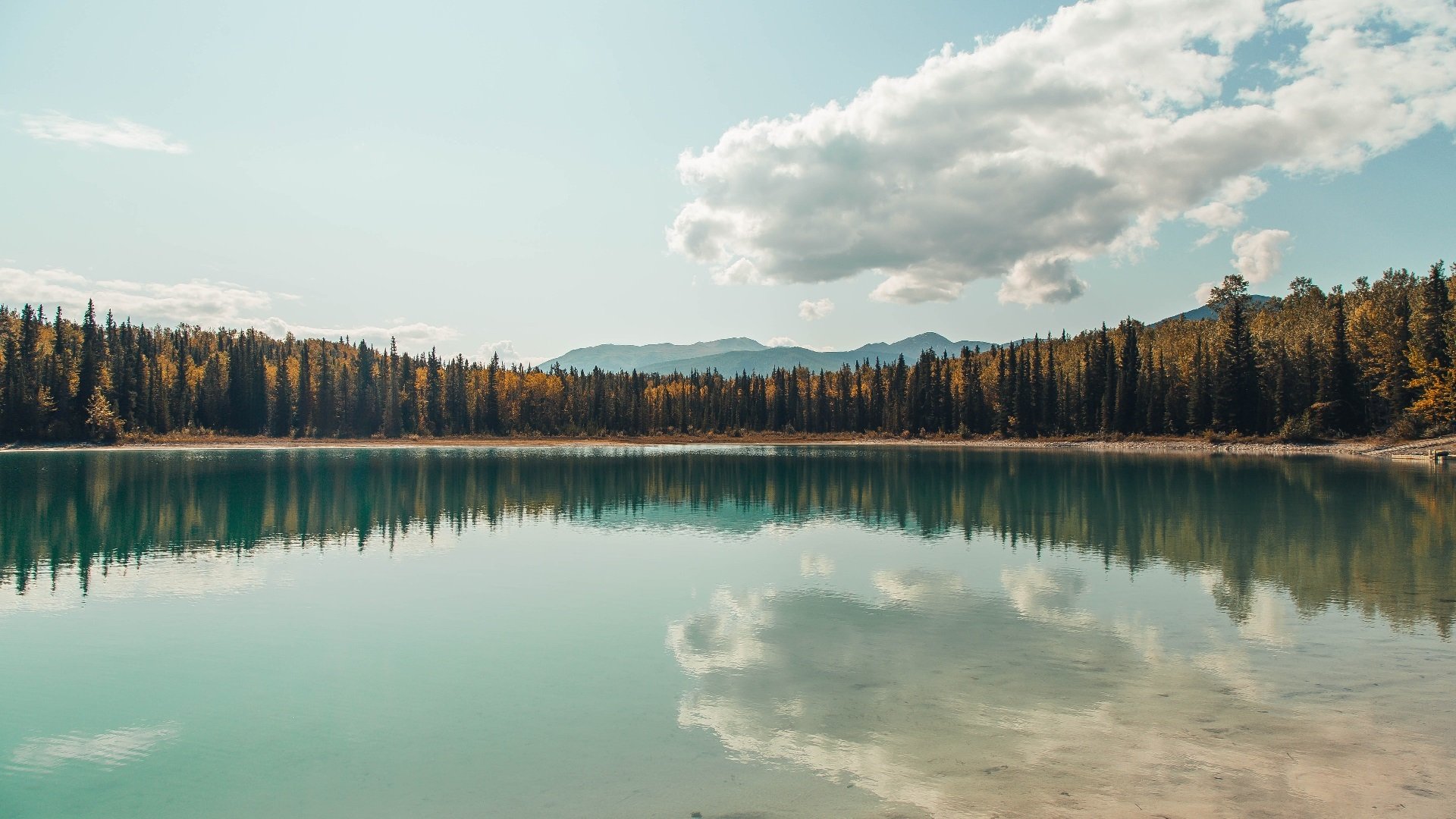 九游电竞官网-《精彩战队转会：多支顶级队伍阵容调整》，精彩来袭是什么意思