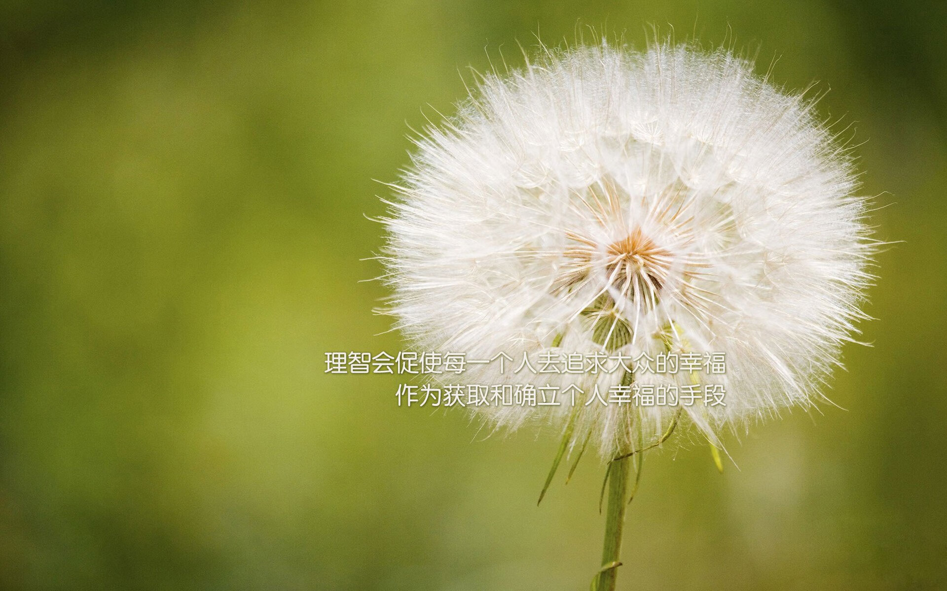 九游电子竞技-传奇宠儿：那些在欧冠舞台上留下浓墨重彩的球员，传奇欧洲杯